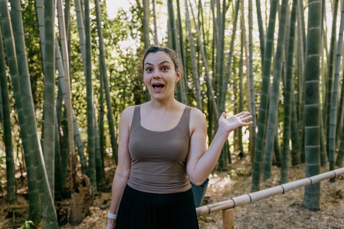 Cami na floresta de bambus de Arashiyama, em Kyoto